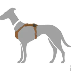 Hunter Hundesele Aalborg cognac S-M/2 - Bryst/hals 51-64 cm