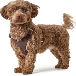 Hunter Hundesele Aalborg mørkebrun S-M/1 - Bryst/hals 44-56 cm