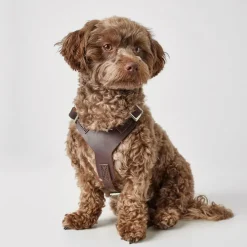 Hunter Hundesele Aalborg mørkebrun XXL (M-L/2) - Bryst/hals 62-90 cm