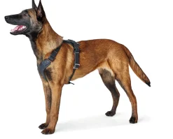 Hunter Hundesele Aalborg Sort S-M/2 - 51-64 cm bryst/hals