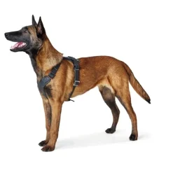 Hunter Hundesele Aalborg Sort M-L/1 - 58-80 cm bryst/hals