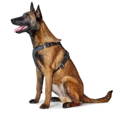 Hunter Hundesele Aalborg Sort M-L/2 - 62-90 cm bryst/hals