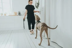 Hunter Hundesele Aalborg Sort M-L/2 - 62-90 cm bryst/hals