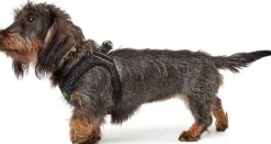 Hunter Hundesele Hilo Soft Comfort i grå XXS-XS