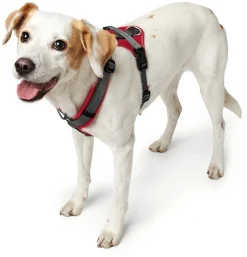 Hunter hundesele Maldon Rød og Grå L længde 66-118 cm 2,5 cm - stærk og komfortabel pasform