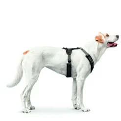 Hunter hundesele Maldon Sort og Grå XS længde 31-49 cm 1,5 cm - let og præcis pasform