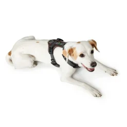 Hunter hundesele Maldon Sort og Grå XS længde 31-49 cm 1,5 cm - let og præcis pasform