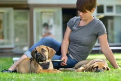 Hunter hundesele Neopren Oliven XL længde 73-94 cm 2,5 cm - blød og stabil komfort