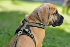 Hunter hundesele Neopren Oliven XL længde 73-94 cm 2,5 cm - blød og stabil komfort