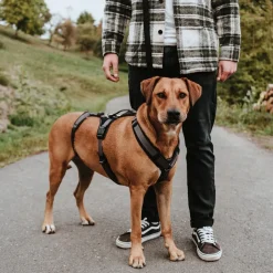 Hunter hundesele Safety Maldon Gråsort L længde 66-118 cm 2,5 cm - sikker stabilitet