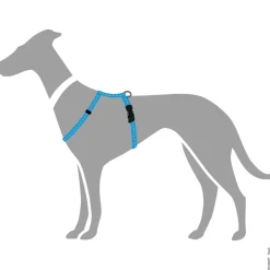 Hunter Hundesele Tripoli Lyseblå XXS