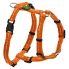 Hunter Hundesele Tripoli Orange S
