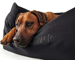 Hunter hundeseng Gent antibakteriel Medium 80x60 cm Sort