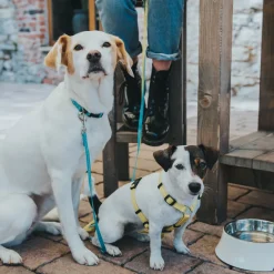 Hunter Hundesnor Blå 15/200