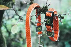Hunter Hundesnor Hilo Orange 20/200
