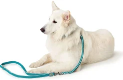 Hunter Hundesnor Hilo turkis 20/200