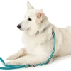 Hunter Hundesnor Hilo Turkis 15/200