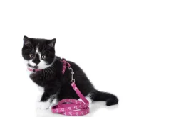 Hunter Kattesele Pink