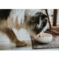 Hunter keramik Lund hunde skål 900 ml Beige