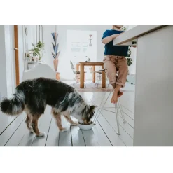 Hunter keramik Lund hunde skål 900 ml Beige