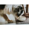 Hunter keramik Lund hunde skål 550 ml Beige