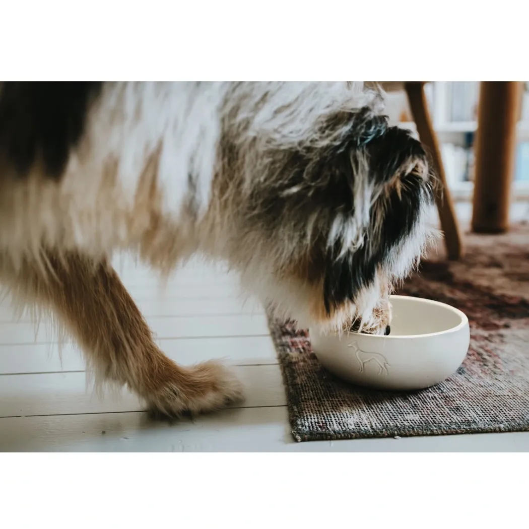 Hunter keramik Lund hunde skål 550 ml Beige