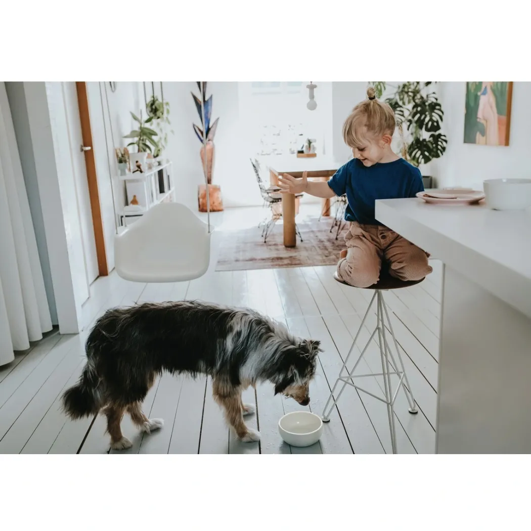Hunter keramik Lund hunde skål 550 ml Beige