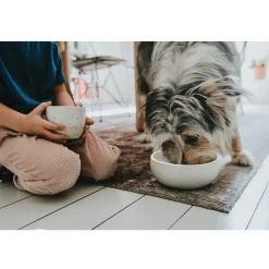 Hunter keramik Lund hunde skål 550 ml Beige