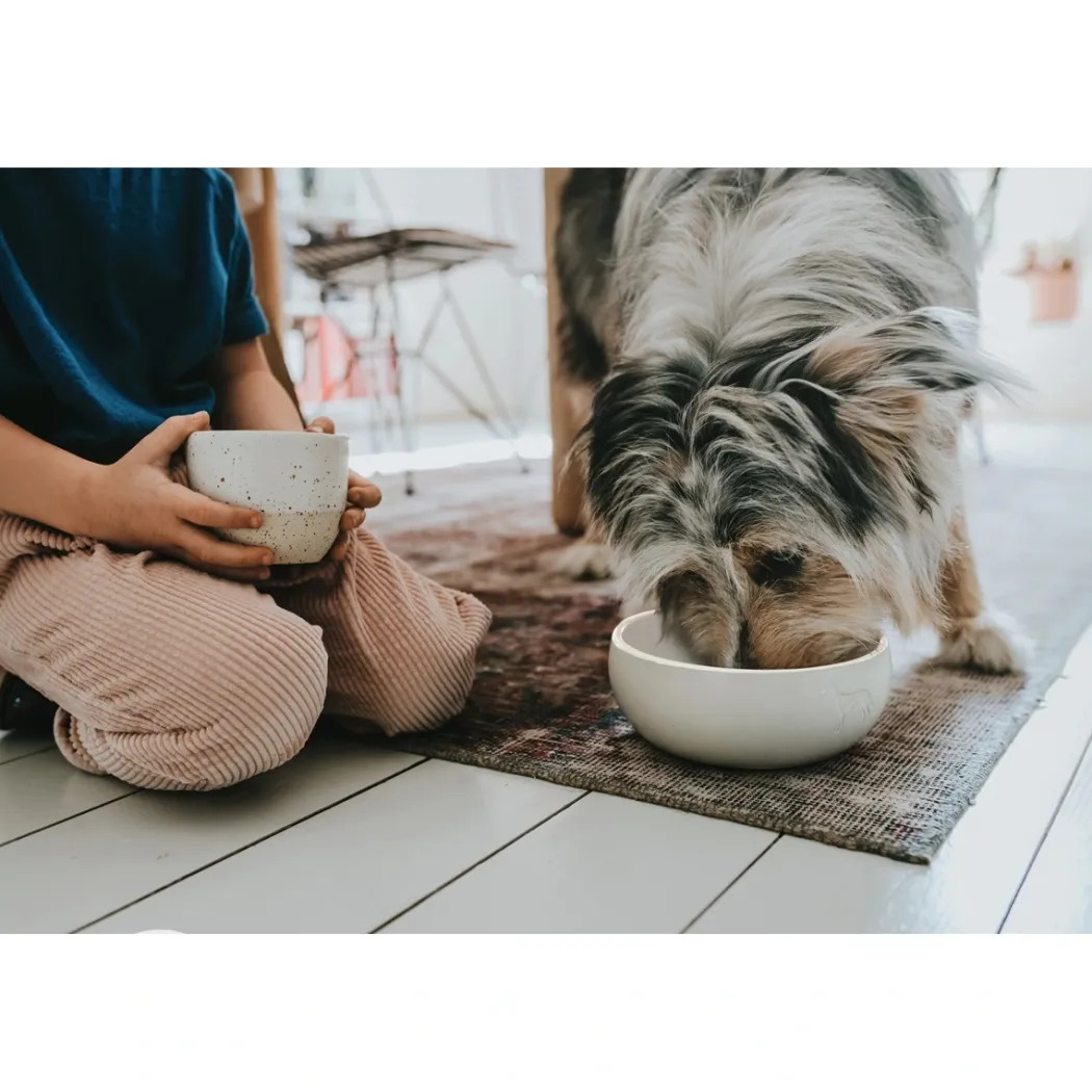 Hunter keramik Lund hunde skål 550 ml Beige