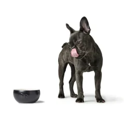 Hunter Keramik Lund Hunde Skål 1500 ml Sort
