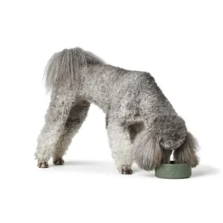 Hunter Keramik skål Osby 1100 ml khaki