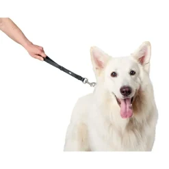Hunter Kort Hundesnor Solid Education sort