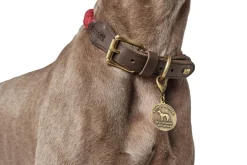 Hunter List Reb Halsbånd S Beige - 41-49 cm