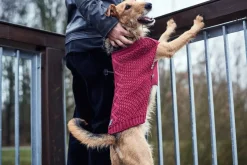 Hunter Malmø pullover strik bordeaux str. 30