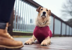 Hunter Malmø pullover strik bordeaux str. 40