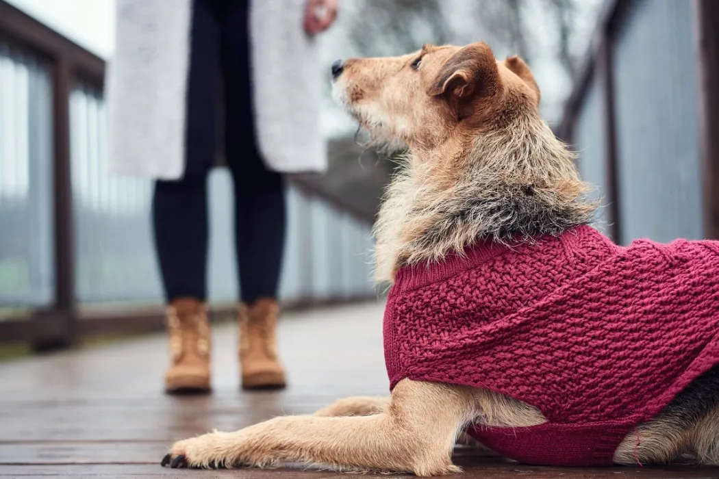 Hunter Malmø pullover strik bordeaux str. 50