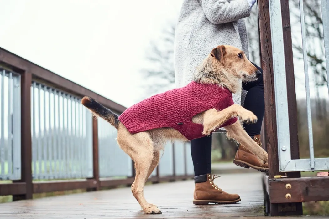 Hunter Malmø pullover strik bordeaux str. 50