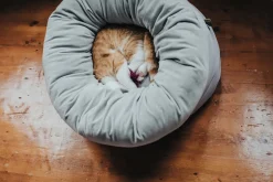 Hunter Miranda donut seng Ø 50 cm Lysegrå