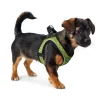 Hunter NY Hilo Comfort hundesele XXS-XS lime mave/bryst 33-36 cm - Fleksibel let pasform til små hunde