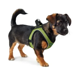 Hunter NY Hilo Comfort hundesele M lime mave/bryst 58-65 cm - Let komfort og stabil pasform