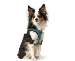 Hunter NY Hilo Comfort hundesele XXS-XS turkis mave/bryst 33-36 cm - Fleksibel let pasform til små hunde