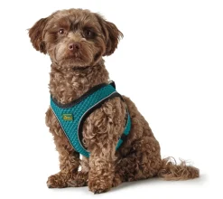 Hunter NY Hilo Comfort hundesele XXS-XS turkis mave/bryst 33-36 cm - Fleksibel let pasform til små hunde