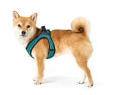 Hunter NY Hilo Comfort hundesele XS turkis mave/bryst 36-40 cm - Let komfort og fri bevægelse