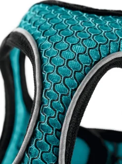 Hunter NY Hilo Comfort hundesele XS turkis mave/bryst 36-40 cm - Let komfort og fri bevægelse