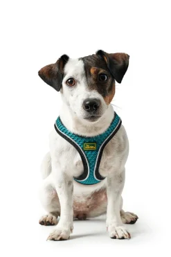 Hunter NY Hilo Comfort hundesele S turkis mave/bryst 46-52 cm - Let komfort og stabil pasform