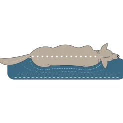 Hunter ortopædisk hundesofa Livingston Medium 80 x 60 cm Antracit