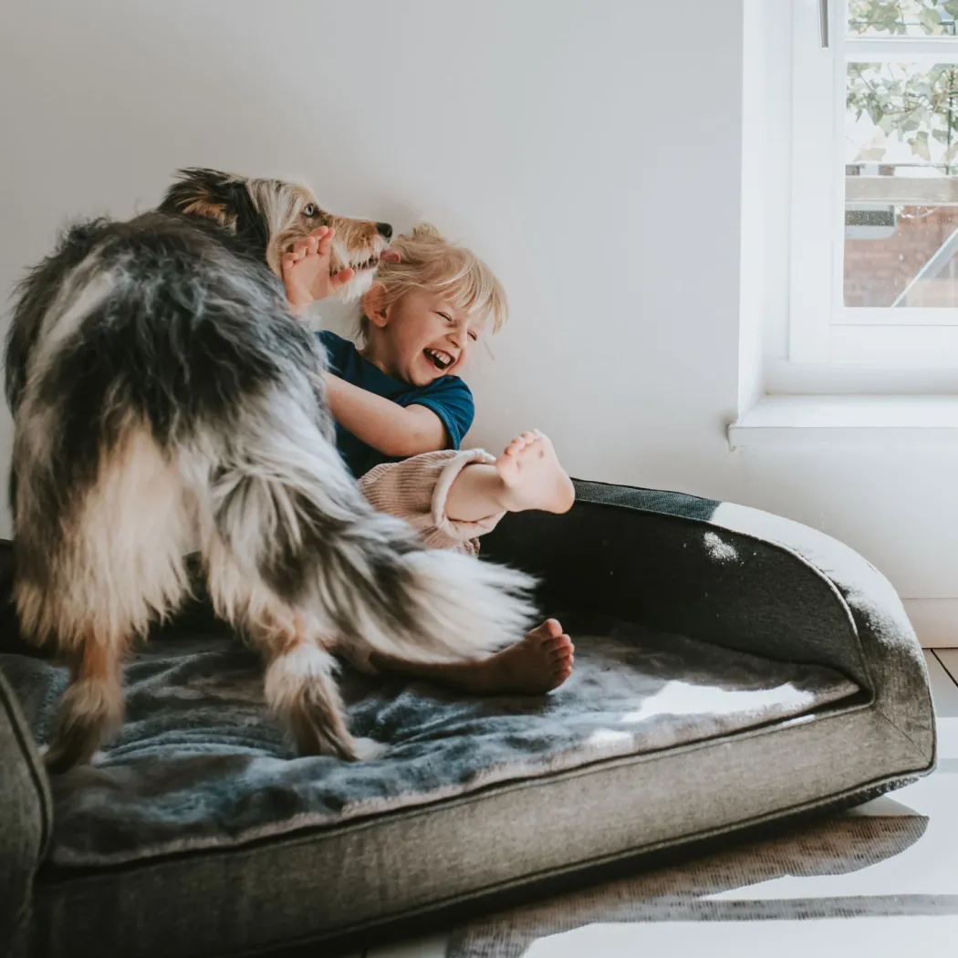 Hunter ortopædisk hundesofa Livingston Medium 80 x 60 cm Antracit