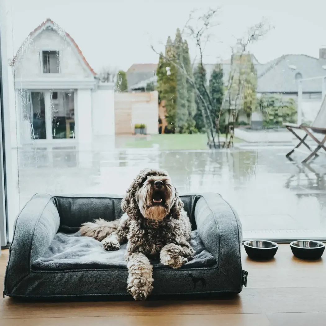 Hunter ortopædisk hundesofa Livingston Medium 80 x 60 cm Antracit