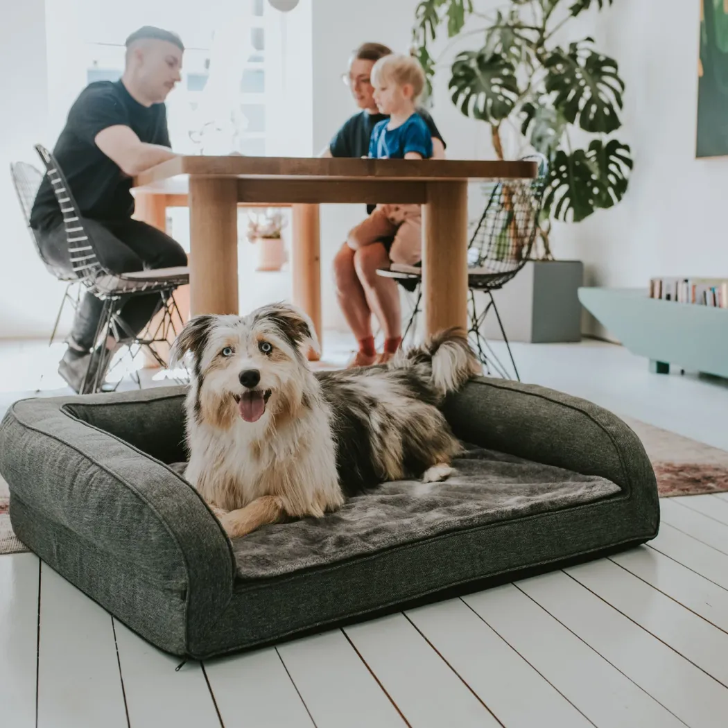 Hunter ortopædisk hundesofa Livingston Large 100 x 80 cm Antracit