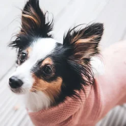 Hunter Röglatrøje 25 Rosa